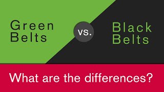 What is the difference between Green Belt and Black Belt [upl. by Trust105]