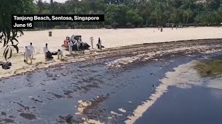 Singapore’s Sentosa Island Beaches Impacted By Oil Spill [upl. by Denni]