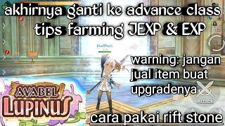 AVABEL LUPINUS advance class change tips farming jexp amp exp amp cara equipt equiptment lv40 [upl. by Bourne]