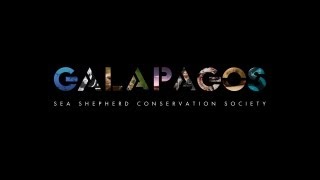 Sea Shepherd Galapagos documentary trailer [upl. by Ennovad]