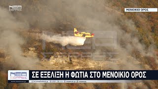 🔥 Σερρες Σε εξελιξη η φωτιά στο Μενοίκιο Όρος  Χωρίς ενεργό μέτωπο στο Δαφνουδι [upl. by Itsur]