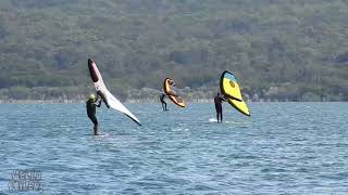 Wallagoot Lake NSW LT Windsurfing Wingfoiling [upl. by Yrome684]