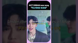 NCT DREAM prerelease song quotFLYING KISSquot MV [upl. by Selle]