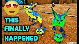 Raising The Cutest Mutated Jerboa EVER Easy Tutorial amp Guild [upl. by Eisac]