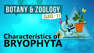 Characteristics of Bryophyta  Kingdom Plantae  Biology Class 11 [upl. by Ytsenoh140]