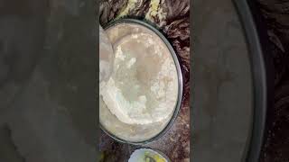 ￼ Pizza garlic bread ￼ doa recipe￼ Dominos Pizzaindiancuisine delicious [upl. by Sillsby]