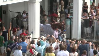 Fans cheer Triple Crown winner Justify during parade lap [upl. by Madelyn793]