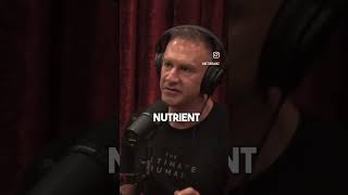 Gary Brecka X Joe Rogan  Nutrient Deficiency ketonesforfuel mthfr [upl. by Eilrac]