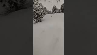 Skier crashing down the trees in Austria [upl. by Dorrehs]