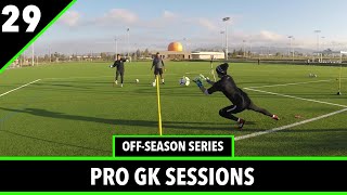 Reaction Training amp Shot Stopping  Goalkeeper Training  Ep4 OffSeason Series  Pro GK [upl. by Yemrej]