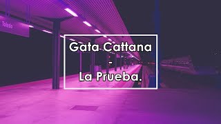 Gata Cattana  La Prueba Lyrics  Letra [upl. by Weibel]