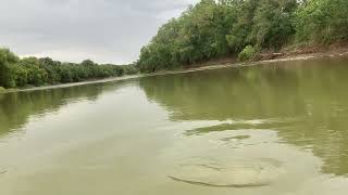 Egret call while kayaking the Brazos River [upl. by Cecil]