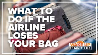 Did the airline lose or damage your bag Heres how to get reimbursed [upl. by Judah]