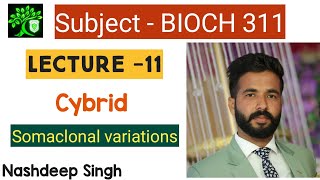 Bioch 311  Cybrid  Somaclonal variations  Somaclone biotechnology for bsc agriculture  Nashdeep [upl. by Shivers647]