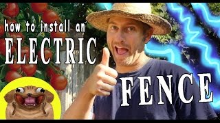 How to Install an Electric Fence [upl. by Teece]