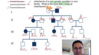 Pedigree Analysis 2 How to solve a genetic pedigree Example No 2 [upl. by Yemarej]