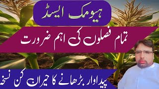 Benefits of Humic Acid Use of Humic Acid in CropsGhulam Shabeer Velogs [upl. by Nerta828]