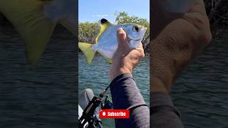 Kayak fishing on new Hand Caster REEL [upl. by Ru]