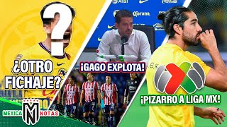 América HACE OTRO FICHAJE ADEMÁS DE DÁVILAGago FURIOSO EN PLENA CONFERENCIA Rodo Pizarro a Liga MX [upl. by Otit]