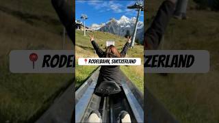 switzerland travel youtube swissalps slides coldplay stunning trending viralvideo funny [upl. by Triplett]