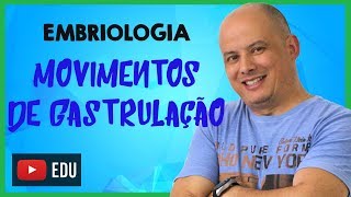 Gastrulação I Embriologia [upl. by Hagi615]