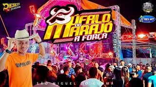 🟥 SET  BUFALO DO MARAJO AO VIVO EM SÃO MIGUEL DO GUAMÁ  DJ ADRIANO NO MAXIMO 2023 [upl. by Foskett70]