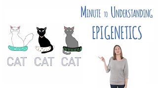 What is epigenetics [upl. by Redep]