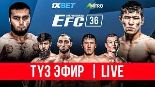 EFC 36 КЫРГЫЗСТАН VS ДАГЕСТАН  EFC GLOBAL LIVE [upl. by Emina911]