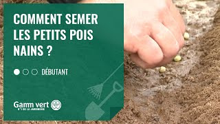 TUTO Comment semer les petits pois nains   Jardinerie Gamm vert [upl. by Anelrihs]