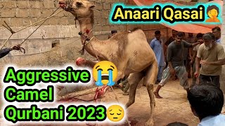 Khatarnak ount ki Qurbani 2023😱 Anari Qasai😑 [upl. by Reinhardt]