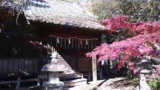 長良神社 Nagara Shrine 群馬県館林市 [upl. by Oriane]