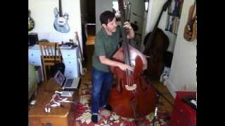 Upright Bass for Rent in NYC from a PRO bassist [upl. by Annaj196]