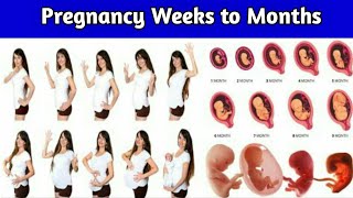 Pregnancy Week to Months  1 to 9 Month Pregnancy Fetal Development [upl. by Frentz]