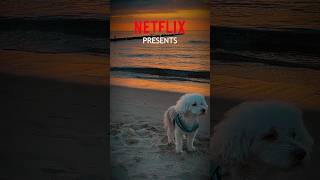 Teddy Bolonka Zwetna Netflix Trailer [upl. by Naashar972]