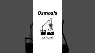 Osmosis ▶️ Transportasi PasifZat  Biologi Kelas X Kurikulum Merdeka 🌊 [upl. by Robillard903]