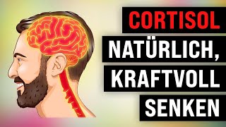 8 kraftvolle Wege um CORTISOL natürlich zu senken [upl. by Esimorp]