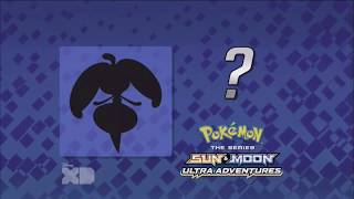 Who’s that Pokémon Pokémon sun and moon clips English HD [upl. by Nahgam]