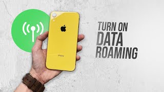 How to Turn On Data Roaming on iPhone tutorial [upl. by Yespmed]