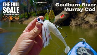 Goulburn River Murray Cod  The Full Scale [upl. by Marius]