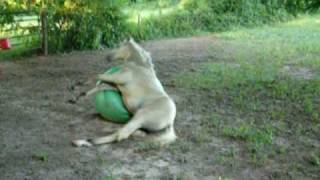 Cruz with Ball the ball wins at the end [upl. by Nwaf339]