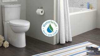 Low Flow Toilets and Water Efficiency [upl. by Wordoow260]