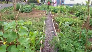 inauguration du Jardin partagé quotLes Merveillesquot à Moulin Joli [upl. by Eibloc]