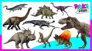 ¡ANIMALES PREHISTÓRICOS PARTE 1  Prehistoric Sea Animals  dinosaurios  jurassic world [upl. by Geminius801]