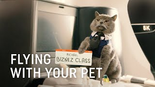 Flying with Your Pet  Turkish Airlines [upl. by Kenleigh336]