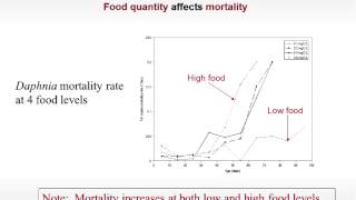 Lecture 1Overview dynamic energy budgets from molecules to ecosystems Dynamic Biomass Budgets [upl. by Yhotmit]