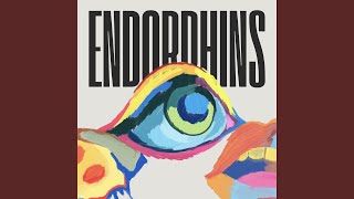 Endorphins [upl. by Dippold]