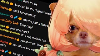 Immy Bisou Reveals Her True Form and Barks for Chat [upl. by Filahk]