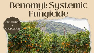 Understanding Benomyl A Comprehensive Overview of this Systemic Fungicide [upl. by Gagne540]