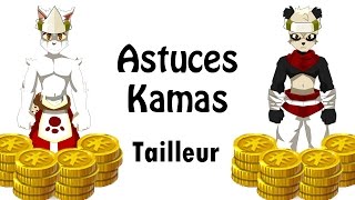 6 astuces kamas Tailleur sur Dofus [upl. by Blasien]