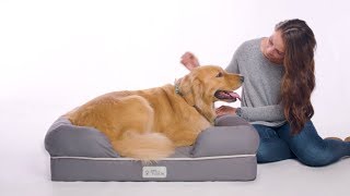 PetFusion Ultimate Dog Bed amp Lounge [upl. by Bolton]